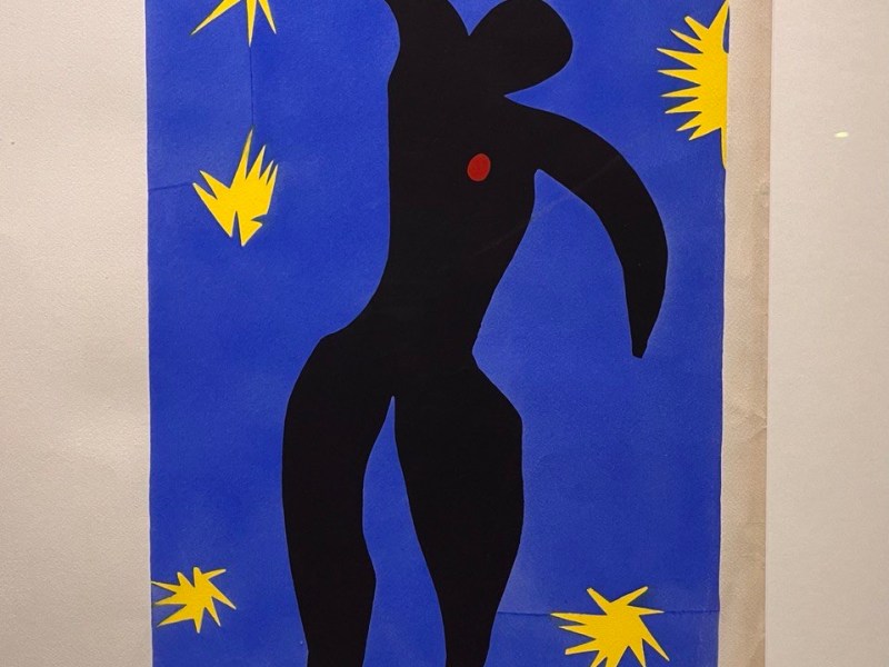 Matisse e la Luce del Mediterraneo a&nbsp;Mestre